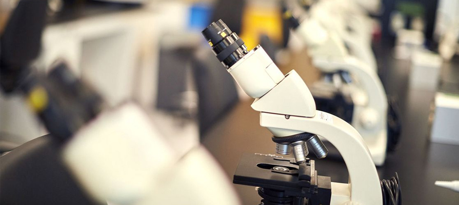 Le Complexe des sciences vu des laboratoires